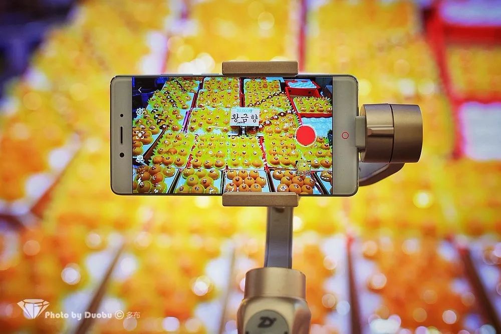 济州岛小众宝藏,世界城市寻宝记济州岛