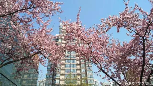 这样的西华泰,谁敢住!