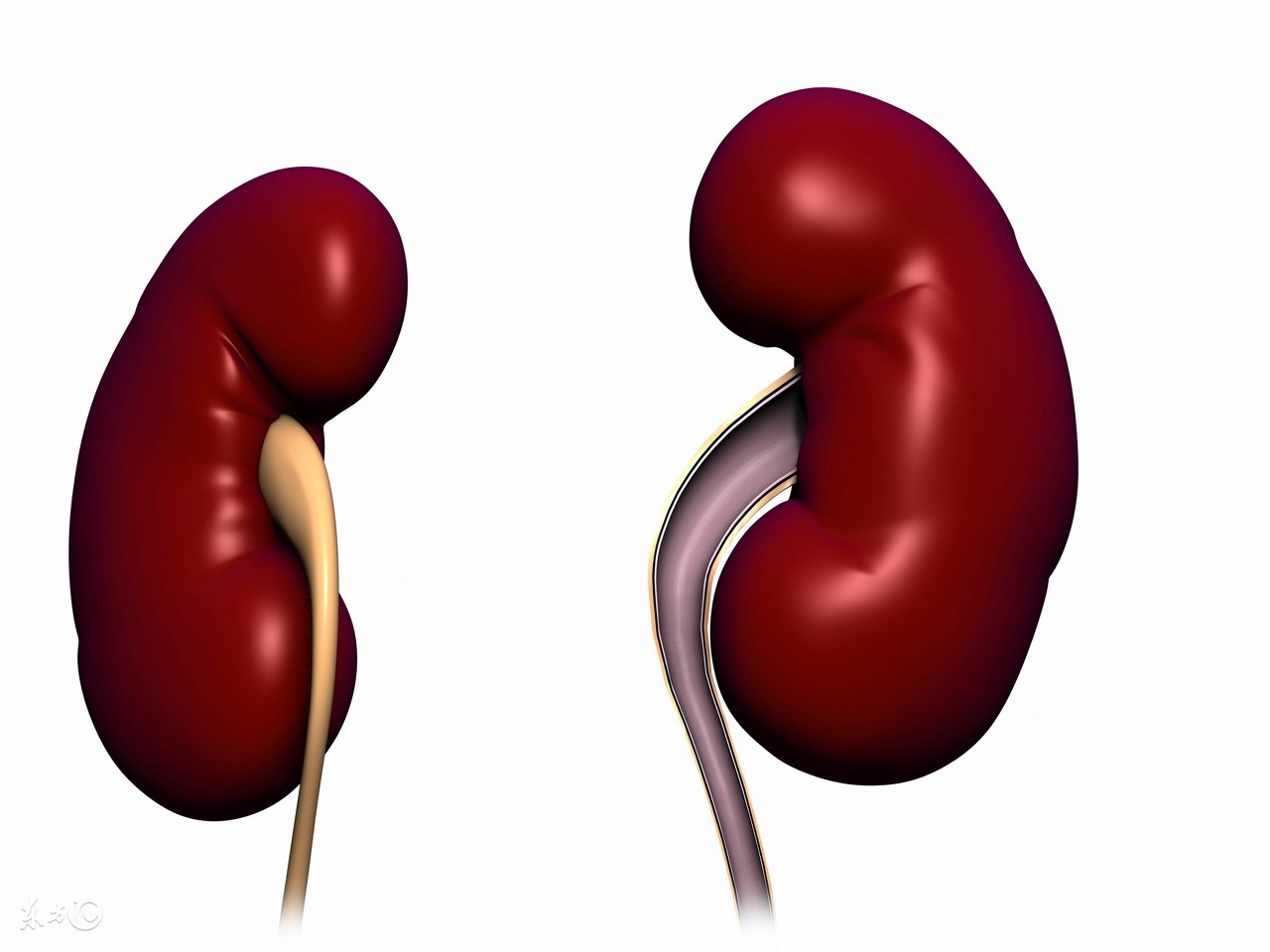 眼睑浮肿是什么原因引起的怎么办,眼睑浮肿是什么原因怎么办