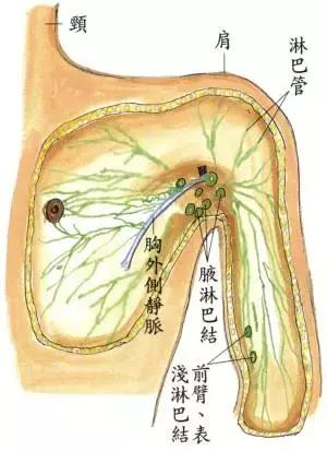 腋窝下有黑色的疙瘩怎么回事,腋窝有黑点和一些疙瘩