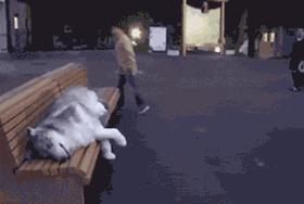 吃大豆油对女生的好处和害处,女性吃大豆油有什么坏处