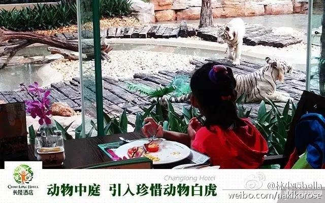 广州长隆亲子游最省钱攻略,广州长隆亲子游最全游玩攻略