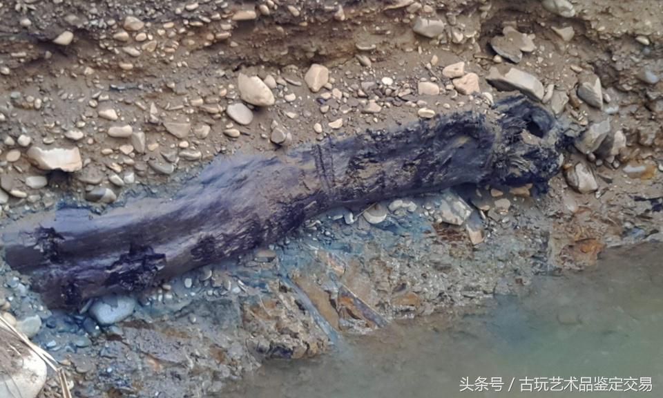 简单介绍一下乌木及其收藏价值,乌木目前价值