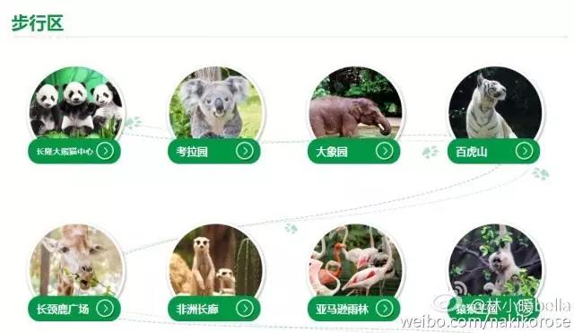 两大一小广州长隆亲子游攻略,最新广州长隆带娃游玩攻略2天