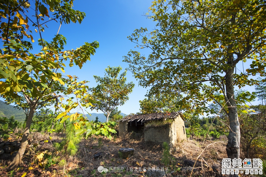 韶关新丰山间小溪自然风景,新丰最美景点