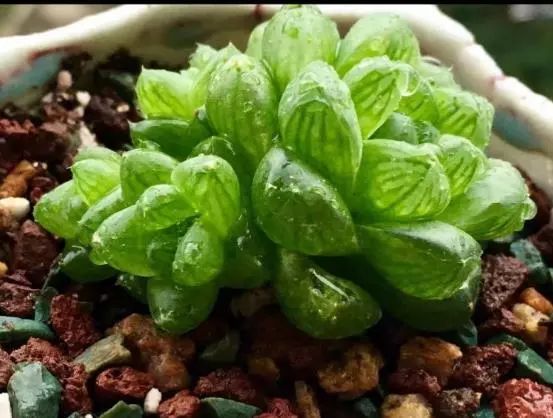 家有3姐妹,家有三姐妹好幸福