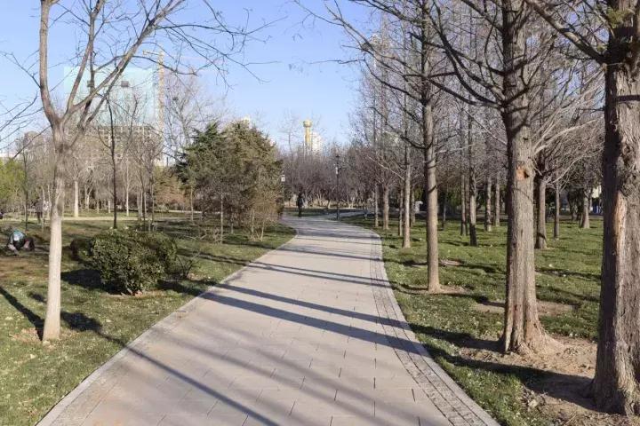 大连星海广场改造现在能玩吗,大连星海广场改造后的效果图