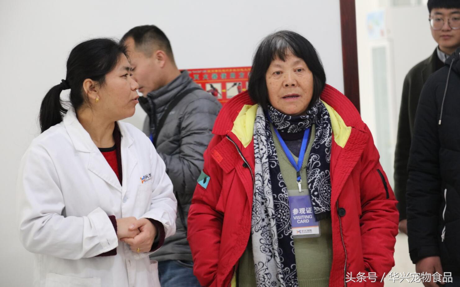 老人救助流浪狗20年,老奶奶收留50只流浪狗坚持了33年