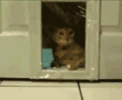 股市下跌时的恐慌和机遇,坚定对我国经济发展前景的信心