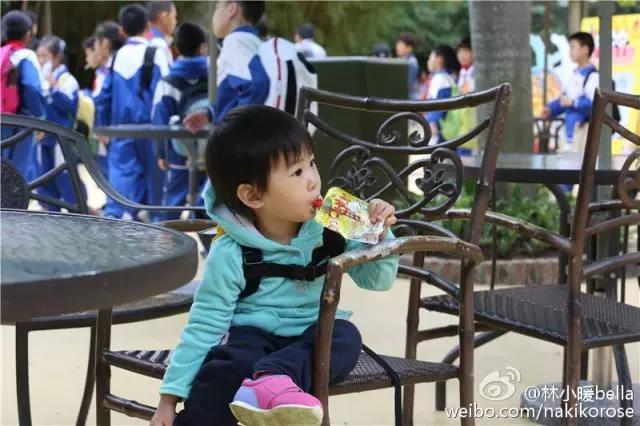 广州长隆亲子游最省钱攻略,广州长隆亲子游最全游玩攻略