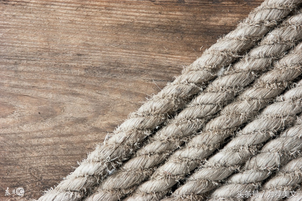 流涛中篇小说在线阅读,流涛的中篇小说