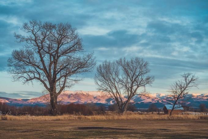 鍐呭崕杈惧窞鑻辨枃姝屾洸,鍐呭崕杈惧窞鐨勬瓕