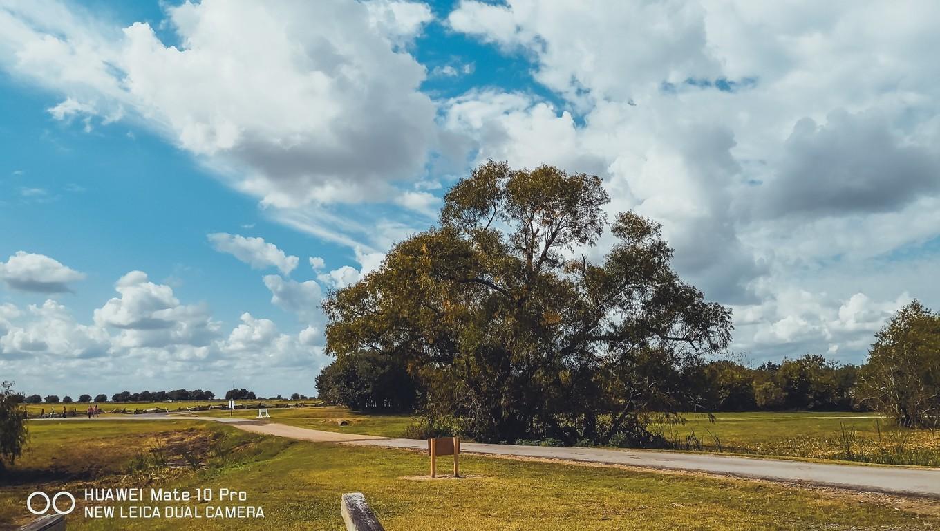 鍐呭崕杈惧窞鑻辨枃姝屾洸,鍐呭崕杈惧窞鐨勬瓕