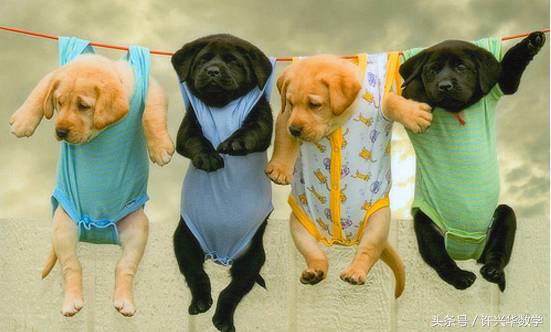 由三视图还原几何体的方法及技巧,立体几何三视图还原技巧高中