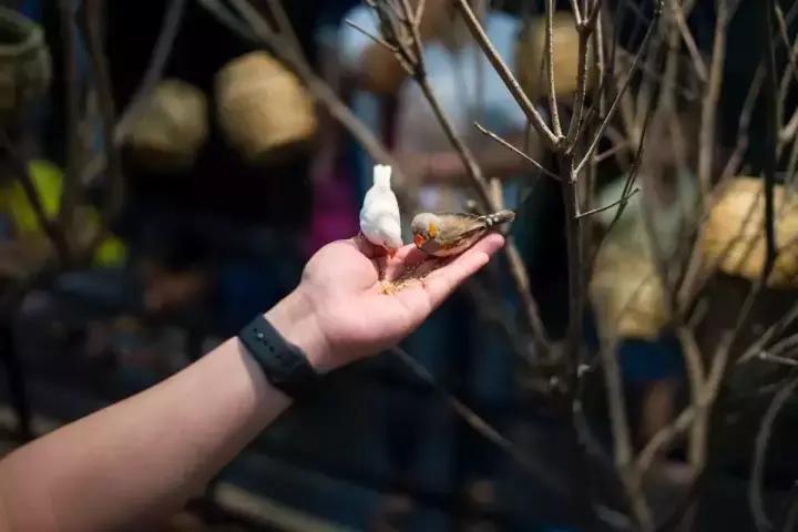 武汉地铁2号线游玩攻略沿线商圈,武汉地铁四号线哪里值得去玩