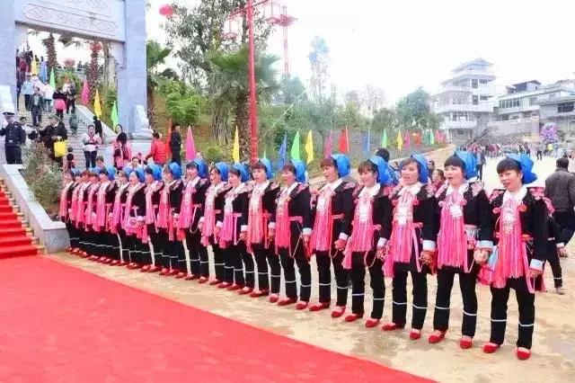 中国云南河口口岸,云南河口通商口岸开放