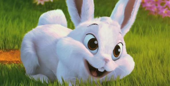 2018年生肖兔今日运势,生肖兔在2023年运势