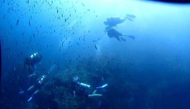 醉氧，醉酒，醉茶，千万别醉氮