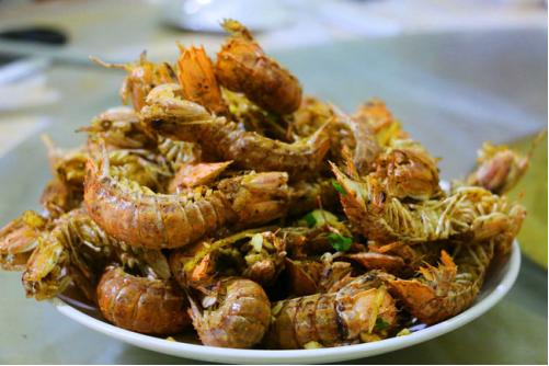 三亚市最美的景色拍摄,拍摄美丽三亚