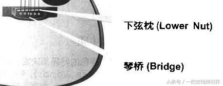 想学弹吉他怎么入门,一把吉他弹奏技巧