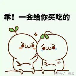 运动补剂营养方法,如何正确选择运动补剂