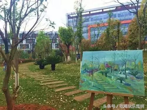 昆十怎么样,昆十中教学质量如何