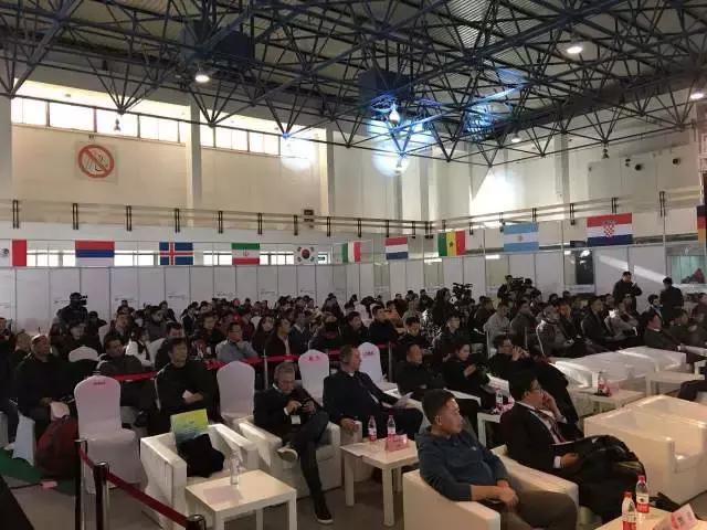 足球产业博览会,足球盛宴