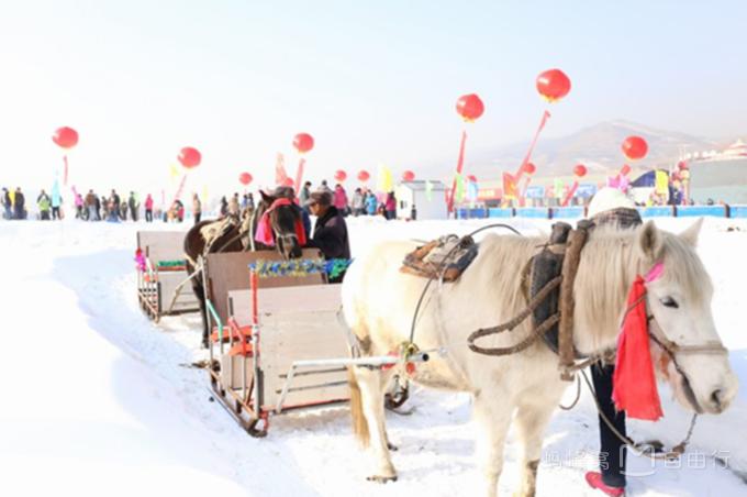 漠河旅游包车全景图,漠河旅游包车拼车攻略