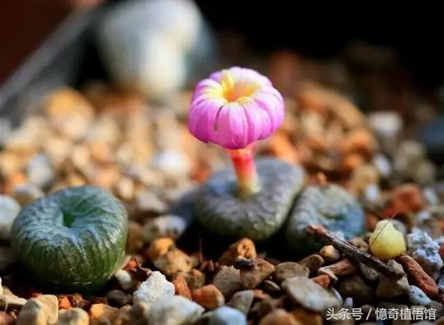 那些年，让*欲人**罢不能的屁屁！美呆了！