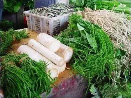 多彩的西双版纳,多彩云南版纳