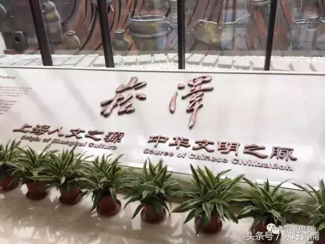 青浦17号线有什么好玩的,上海青浦17号线哪个站最好