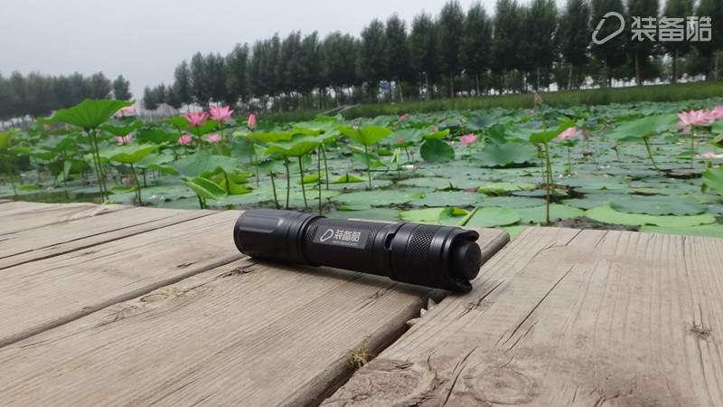 贴小招贴的，我来给你们暴暴光，不讲究