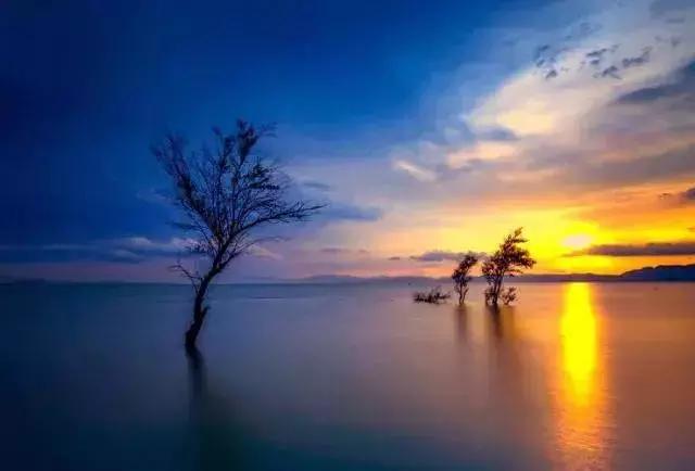 12月西安去哪里机票最便宜,11月特价机票清单西安出发