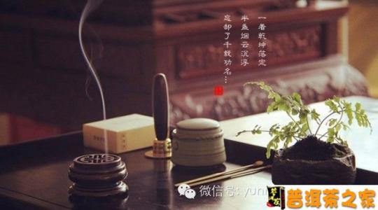 普洱茶对吸烟有用吗,普洱茶解烟毒原理