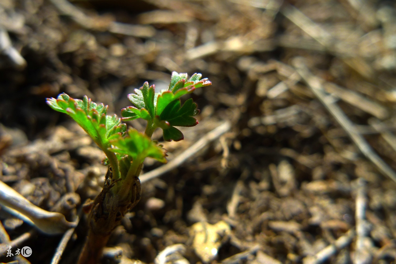 八招帮你赚钱,8招教你如何寻找商机