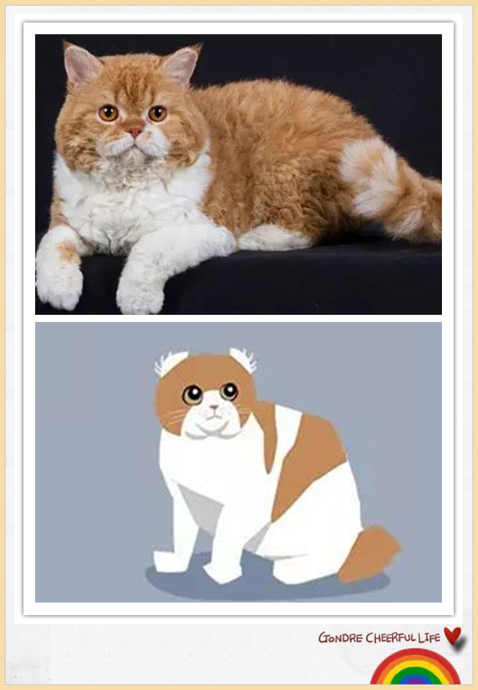 猫咪插画手绘图片,各种猫咪萌化图片