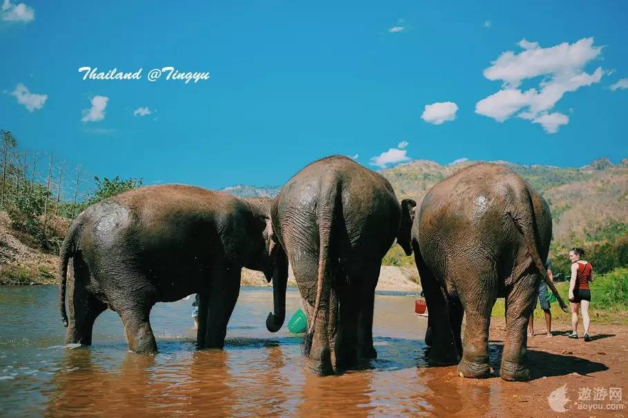 旅游攻略泰国免费,攻略带你了解最美的泰国景点