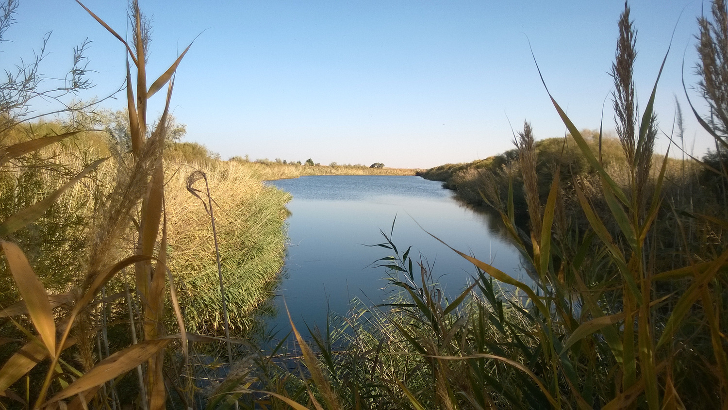 库布齐沙漠穿越之旅,库布齐沙漠西线穿越攻略