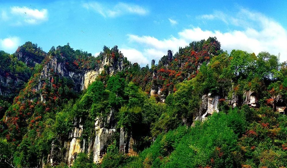 宁强旅游景点排名前十名,宁强县十大旅游景点