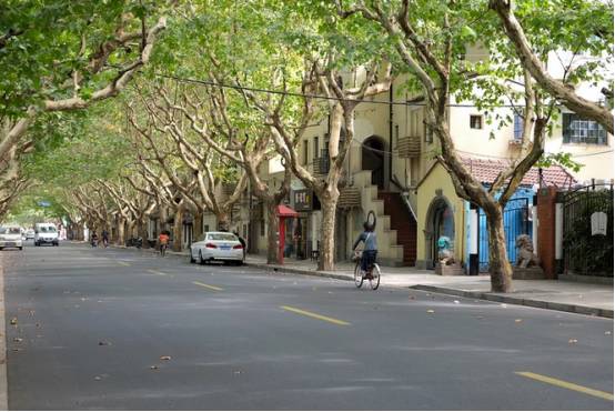 上海吃货网红打卡地排行,上海吃的特色小吃网红打卡