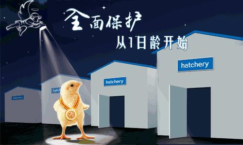 兽药休药期禁用药物,兽药休药期一般要几天