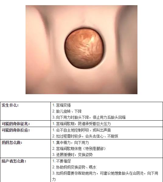 生娃就像拉便便一样？超详细的第二产程