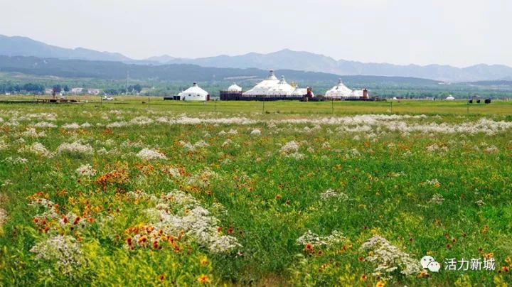 生活变得越来越好越来越幸福,以后你的生活顺风顺水