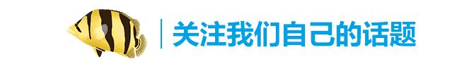 龙缸养草的正确方法,龙缸养水