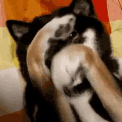 滑雪服中的爱马仕,爱马仕橙滑雪服