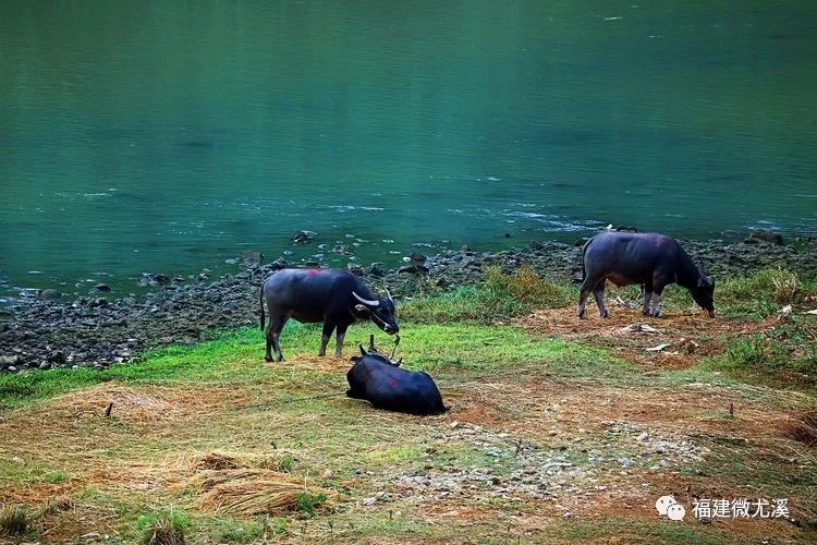 尤溪夏天旅游,关于尤溪的风景介绍