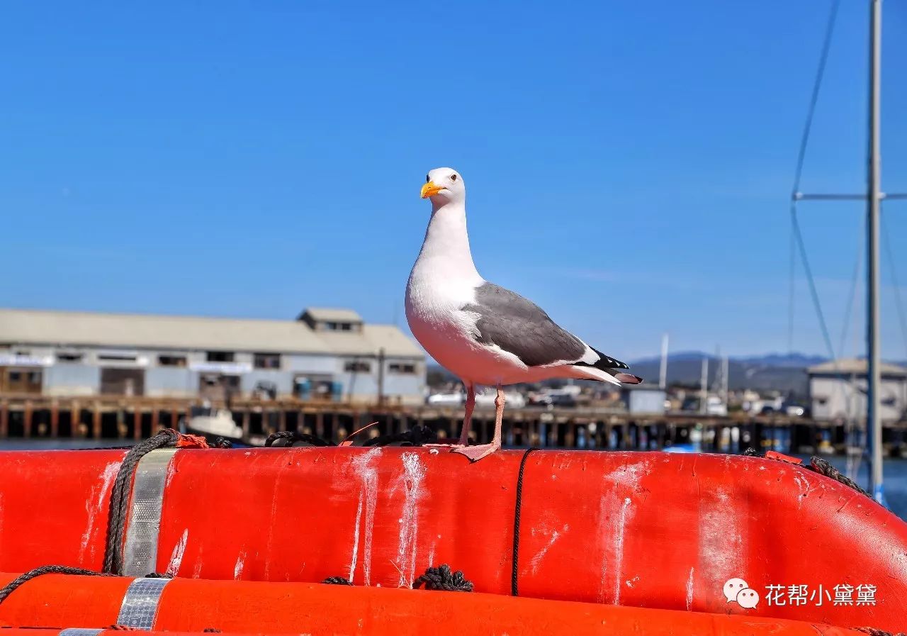 时髦旅拍神器｜玩转美国这个城市看这一篇就够了私房路线干货