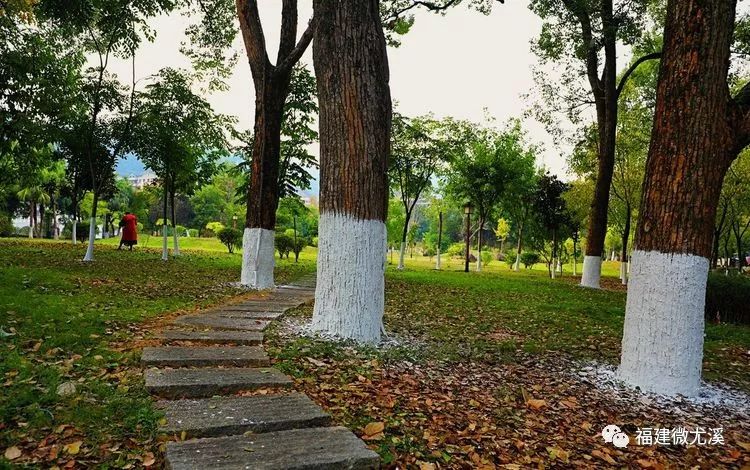 尤溪夏天旅游,关于尤溪的风景介绍