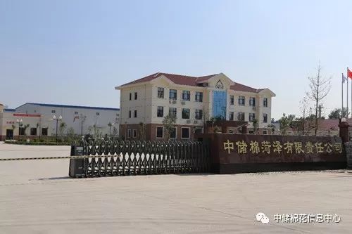 菏泽中储棉最新消息,菏泽中储棉现状