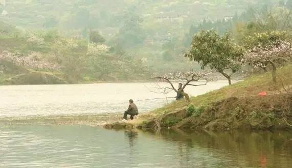 成都2020十大免费钓鱼地方,成都钓鱼地点推荐大全